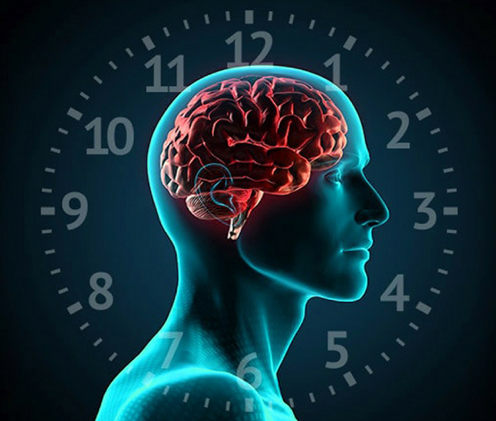 What’s a Circadian System?