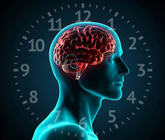 What’s a Circadian System?