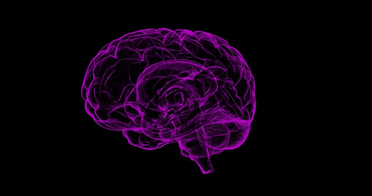 purple-brain